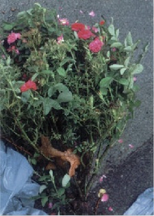 Fig.2 